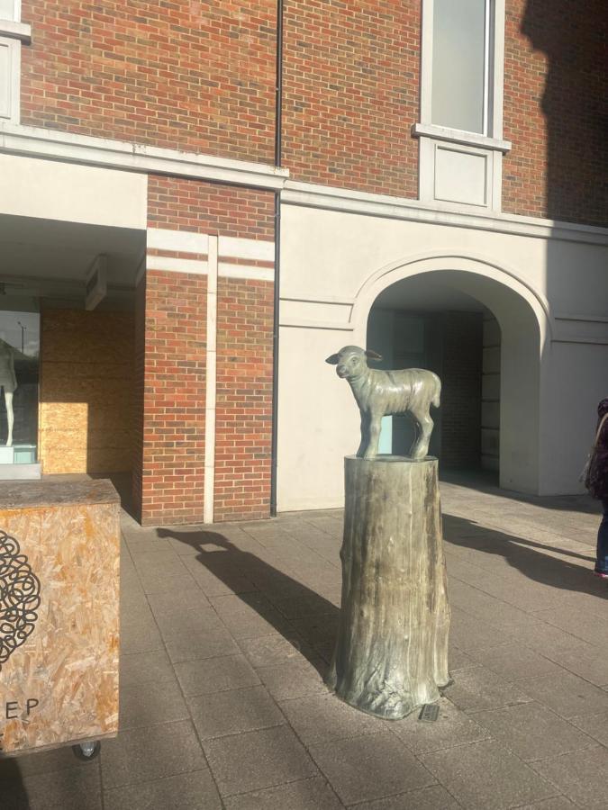 The Most Central Apartment In Canterbury Stunning Interiors, Fully Equipped, City Views And Free Wifi! 외부 사진